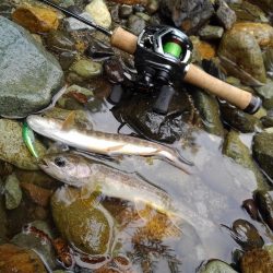 渓流で初のＷヒット！